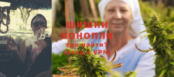 молекула духа Богданович