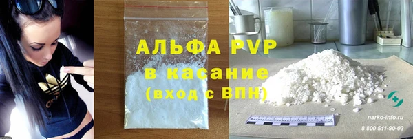 молекула духа Богданович