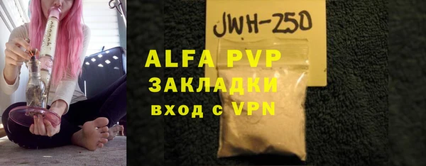 молекула духа Богданович