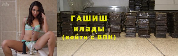 молекула духа Богданович