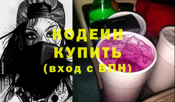 молекула духа Богданович