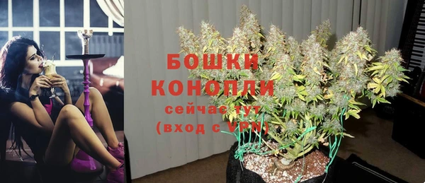 молекула духа Богданович