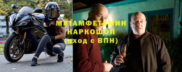 молекула духа Богданович