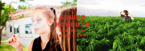 молекула духа Богданович