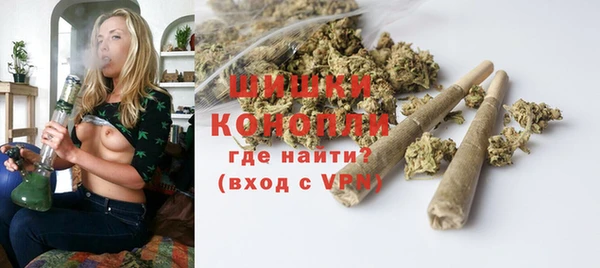молекула духа Богданович