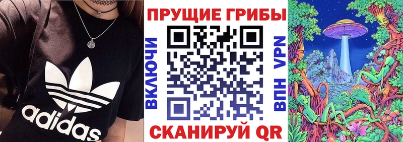Псилоцибиновые грибы Magic Shrooms  Барнаул 